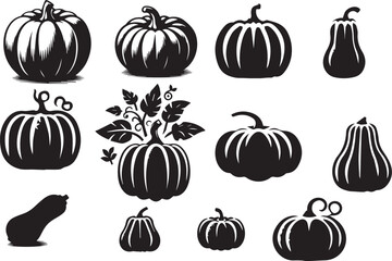 pumpkin silhouette, pumpkin vegetable icon vector set.eps