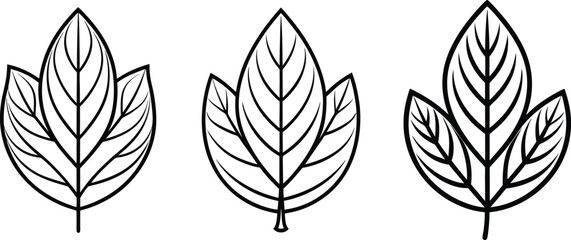 Collection of Minimalist fem Leaf Outlines.