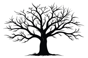 Silhouette of an Old Bare Tree with Visible Roots and Branches Isolated Art