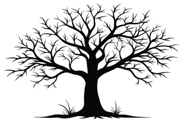 Striking Black Silhouette of a Bare Tree with Grass Beneath its Root