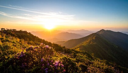 Obraz premium Majestic mountain sunrise over a lush green landscape, with vibrant colors and blooming wildflowers in the foreground, creating a stunning natural panorama.