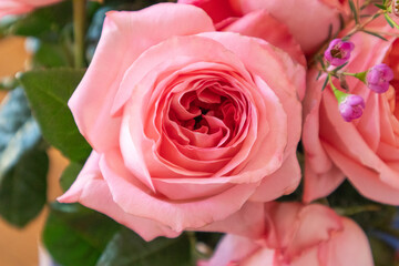 Close-Up of Pink Rose Head in a Mixed Floral Arrangement