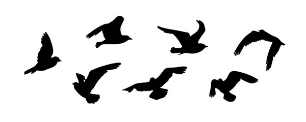 Outlines of flying birds. Black and white silhouette of birds in the wild. Flock of birds, Design element
