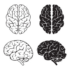 Human Brain Icon Collection. Human head organ anatomy. Brain Systems.