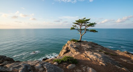 Pine Tree on Rocky Cliff Above Blue Ocean