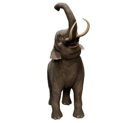 Obraz premium 3D rendered Indian elephant isolated on transparent background