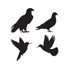 Set of Birds silhouette vector