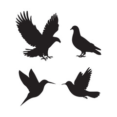 Birds silhouette vector