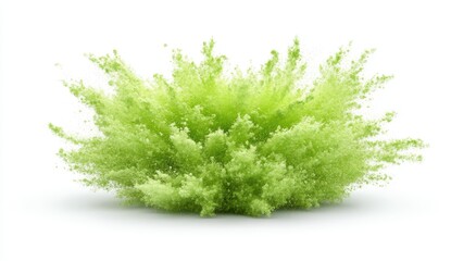 Fototapeta premium Light Green Bush Explosion
