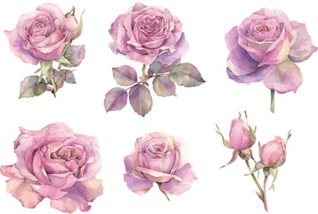 Fototapeta premium Watercolor Spring Flowers Clipart