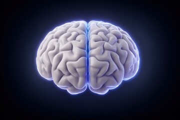 Stunning brain illustration featuring intricately detailed neural pathways illuminated with a radiant glow against a dark background showcasing the complexities of human cognition and mental