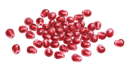 A Vibrant Watercolor Painting Captures The Intense Jewel Toned Red Of Dried Pomegranate Seeds Scattered Against A Stark White Backdrop Showcasing Their Translucent Quality And Inviting