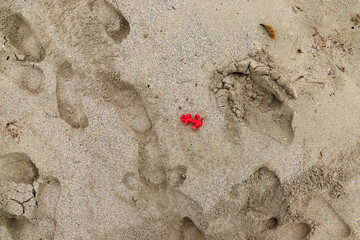 Red anchor-shaped toy lies on sandy beach amidst footprints. The sand appears light brown and grainy, featuring various imprints that suggest recent activity.