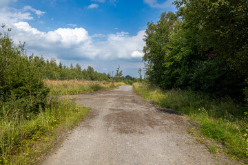 Fototapeta premium Hiking trail through summer nature