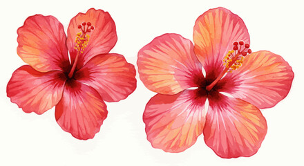 Watercolor Painting Showing A Variety Of Hibiscus Flowers And Petals In Shades Of Pink And Red Scattered And Arranged On A Bright White Background Depicting Delicacy And Natural Beauty