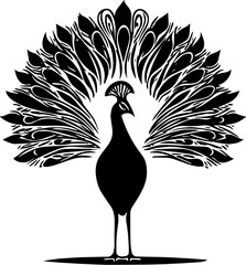 vector illustration of a peacock silhouette with its beautiful tail