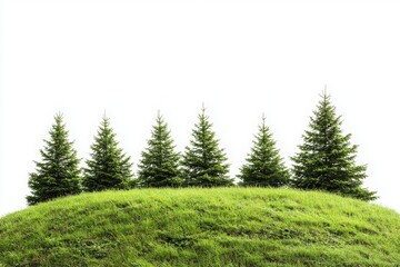 Fototapeta premium Row of fir trees on grassy hill isolated on white background
