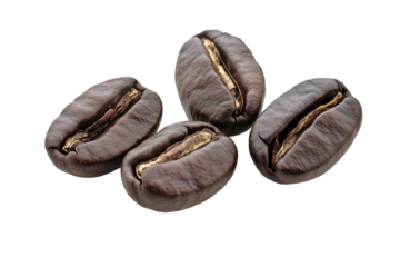 Close-up of coffee beans