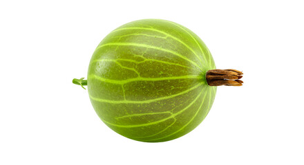 Ripe Green Gooseberry Close-Up