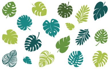 Simple summer tropical monstera leaves. Botanical elements. Floral set. Minimalist silhouette. Logo design element. Collection of tropical leaves in various shapes. Monstera, palm. Exotic jungle palm 