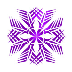 Abstract purple radial pattern with structured segments on a black background