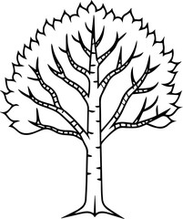 birch tree outline vector illustration, line art