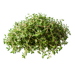 Obraz premium Thyme pile png