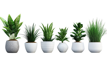 Obraz premium A set of eight chic ceramic-potted home decor plants in white pots arranged neatly, isolated on a transparent background