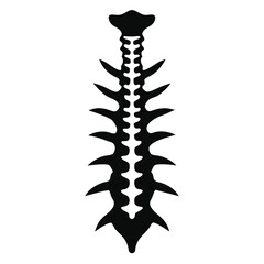 Black skeletal spine structure shows the cervical, thoracic, and lumbar regions on white