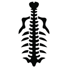 Abstract black vertebrae spinal column shows a detailed bone structure on a white backdrop