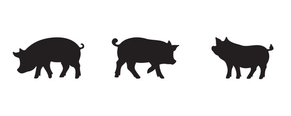Set of three pig silhouettes in different poses, isolated on white background. Simple black vector illustrations representing pigs in profile view