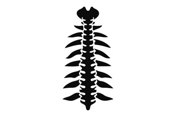Spinal column anatomy is visualized as an isolated black vertebra structure on a white background