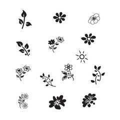Floral & Botanical Elements Vector Illustrations  for Design Projects