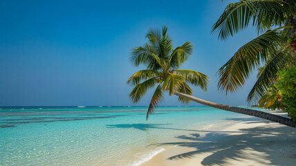 Fototapeta premium Tropical Beach Paradise with Leaning Palm Tree and
