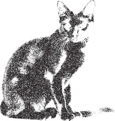 Black and white xerox effect vector illustration of a sitting cat grainy textured pet animal feline domestic shorthair kitty monochrome vintage distressed halftone stipple speckled gritty rough © Hoody Baba