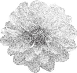 Black and white xerox effect dahlia flower vector illustration grainy textured floral design element monochrome botanical print vintage stipple shading speckled blossom isolated on white background