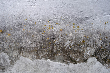 Grungy wall texture with cracks and mud.