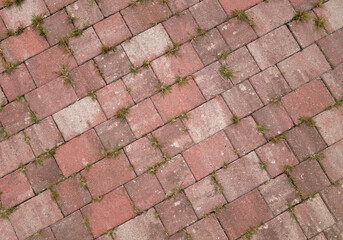 Grass growing through stone pavement.