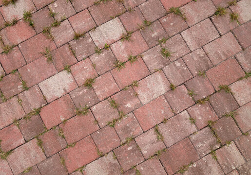 Grass growing through stone pavement.