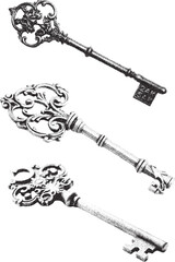 Set of three antique keys black and white xerox effect vintage key old key skeleton key ornate key retro style key security concept secret mystery unlock solution access password vector illustration