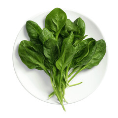 Fresh Spinach Leaves on White Plate