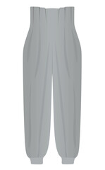 Grey female  pants. vector illustration