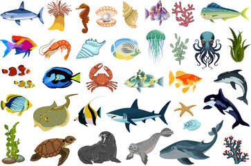 Flora and fauna of the seas and oceans.Large vector collection of marine animals and plants.