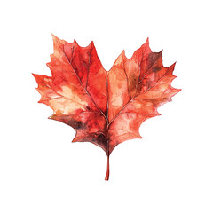 Bright red autumn leaf showcasing intricate patterns and colors captured in detail against a clean background