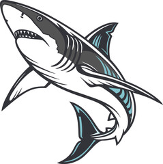 Colored Shark Fish Design Illustration. Creative Colored Shark Fish Art. Unique Shark Fish Colored Design. Colorful Shark Fish Graphic Design. Artistic Colored Shark Fish Drawing