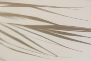 Abstract natural leaves shadows  background on beige color wall texture . Aesthetic floral card,...