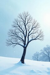 Fototapeta premium Isolated branches forming a triangular shape against a snowy landscape, cold, branch