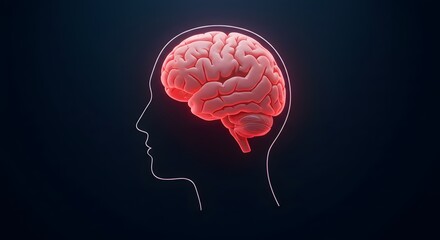 Obraz premium Brain Inside Head Outline Illustration on Dark Background