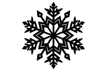 Ornate snowflake pattern in black and white shows intricate fractal geometry within its detailed design