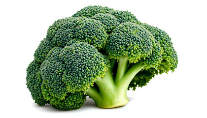 A vibrant head of fresh, organic broccoli, showcasing its intricate florets and inviting green hue. It epitomizes freshness and healthy eating.
